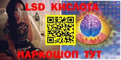 индика Малоярославец