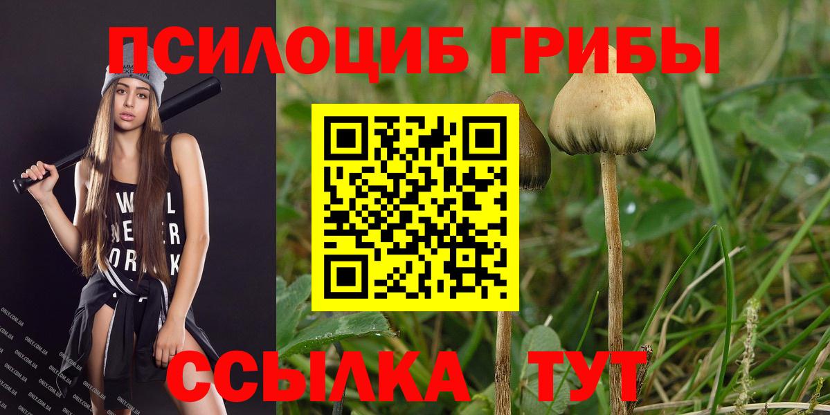 Урюпинск  Псилоцибиновые грибы Psilocybe  Вход с VPN 